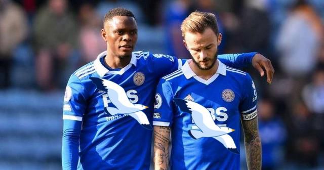 深夜爽爽爽gif福利免费